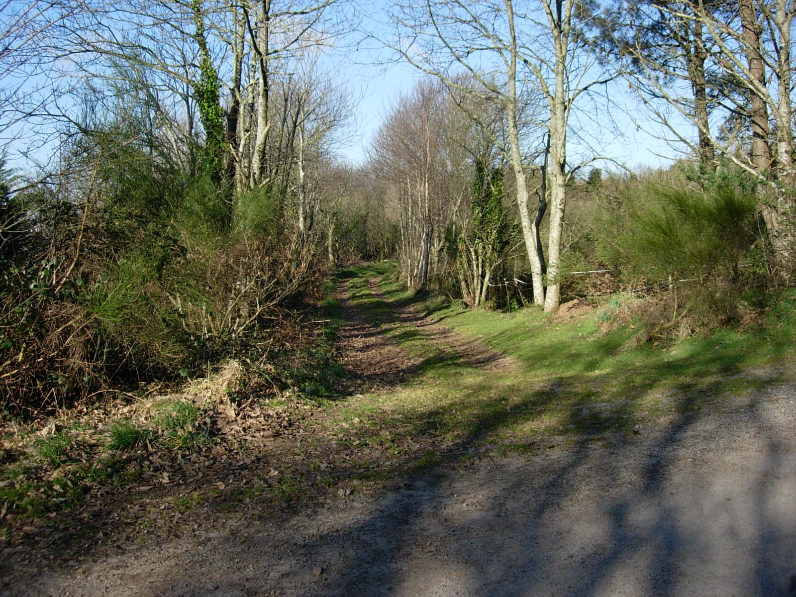 Vevit (vers Plomodiern) Vevit (vers Plomodiern)