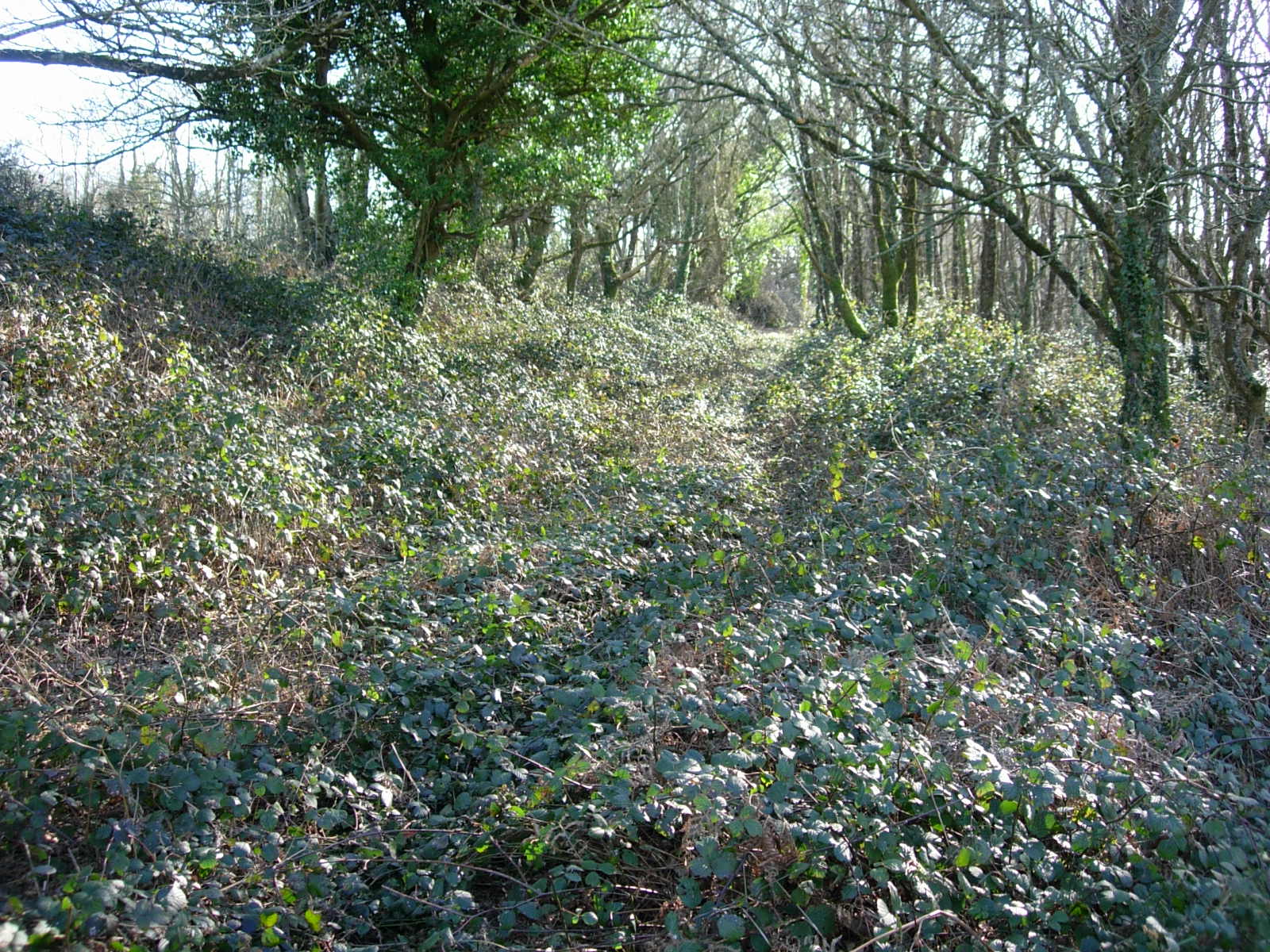 Vevit (vers Châteaulin) Vevit (vers Châteaulin)