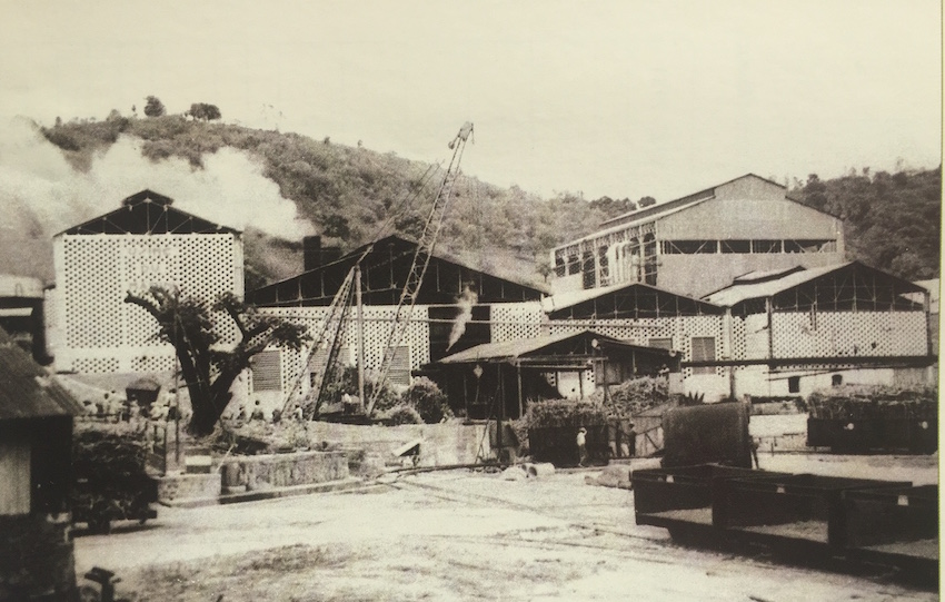 Marin vers 1950