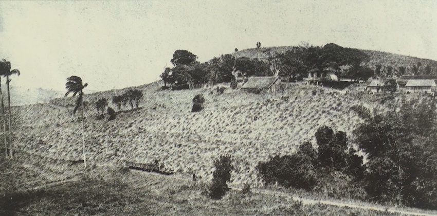 Petit-Bourg Génipa Petit-Bourg Génipa